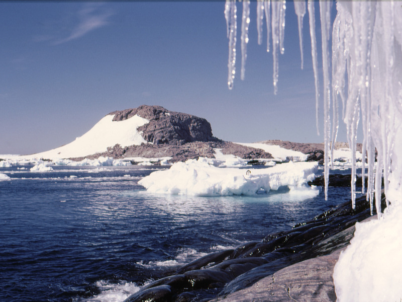 Lion islet