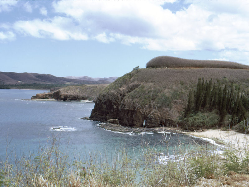 New Caledonia, Turtle Bay