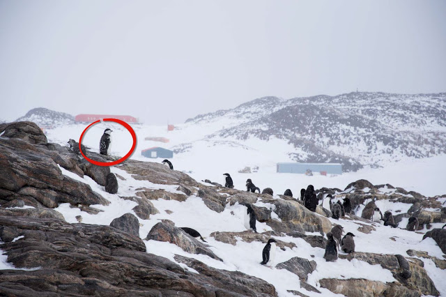 Crédit photo: Delphine MENARD