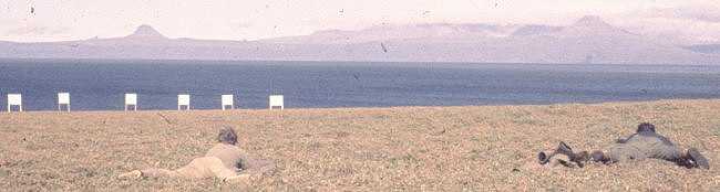 Tir - Photo Jean Claude Boitel