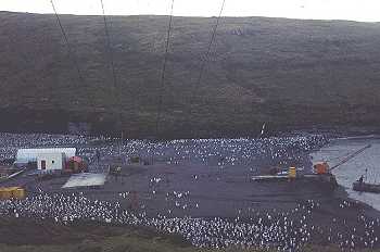 Crozet - Le téléphérique