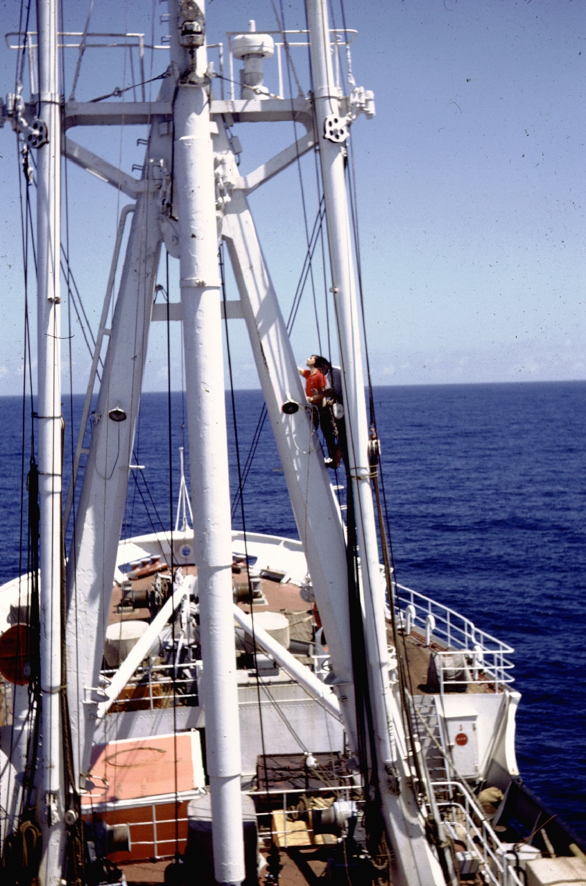 Galliéni Changement des verrines