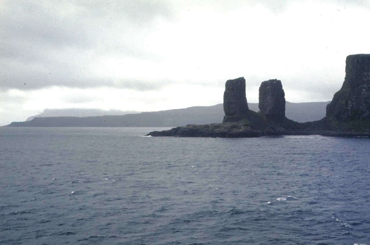 Arche de Port Christmas