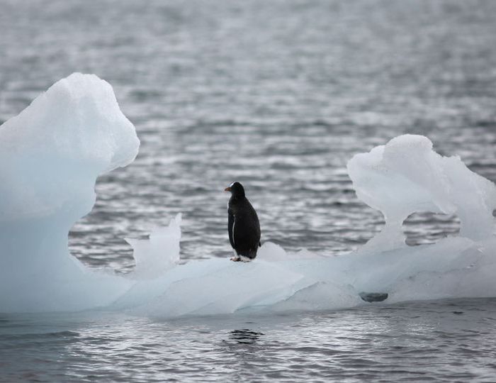 Antarctique_fond