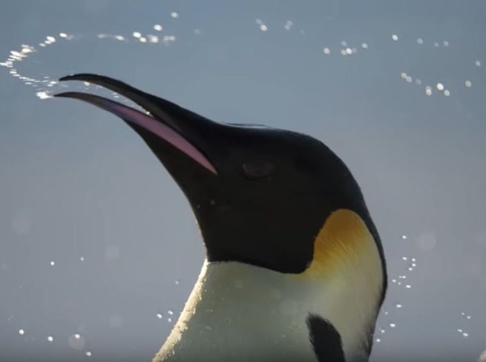 Les-traces-de-l_Empereur