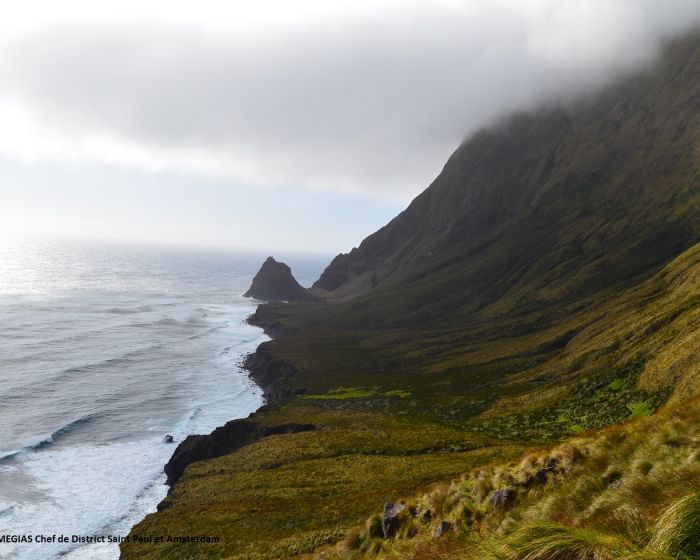 Amsterdam Jean-Charles MEGIAS 7