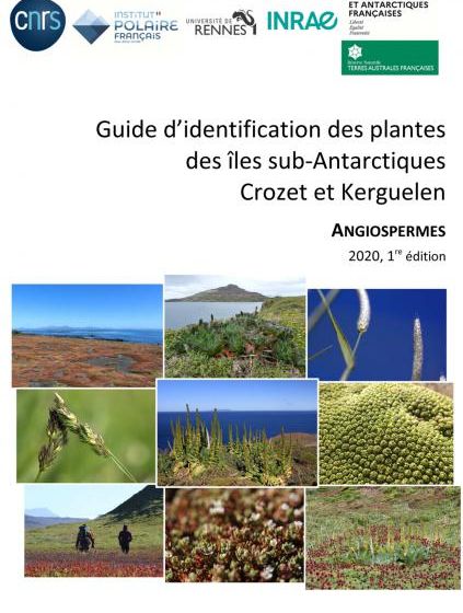 Marc_Lebouvier_Guide_Plante_Kerguelen_2021