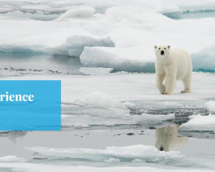 Espace des mondes polaire