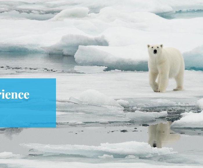 Espace des mondes polaire