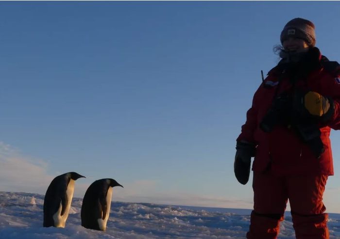 Ma vie en Antarctique