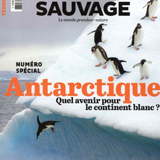 Terre-Sauvage