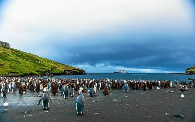 6762fe20524b49693c6a422b