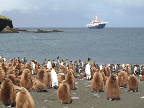 CNRS_20070001_0309_18485