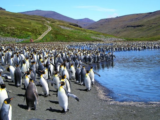 CNRS_20070001_0358_11556