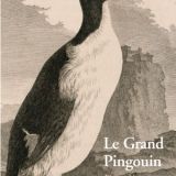 LE-GRAND-PINGOUIN.jpg
