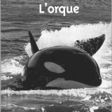 Lorque.jpg