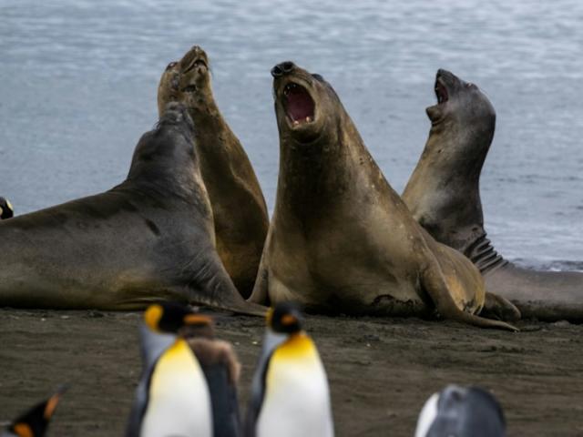 a14537930ca7d4b5b60bf91571a881dd