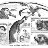 bloc-faune-protegee-des-TAAF-1024x768-1.jpg