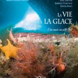la-vie-sous-la-glace.jpg