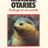 Phoques-Morses-Otaries