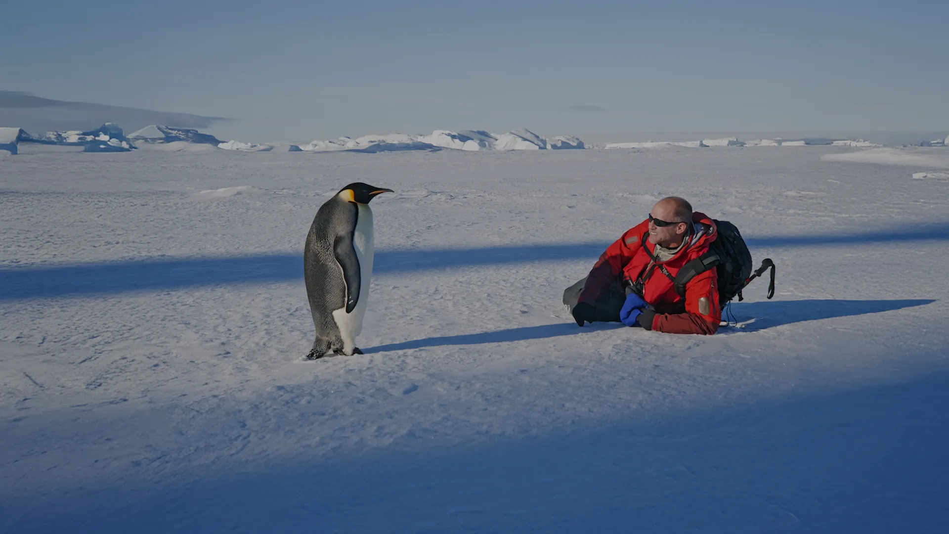 slider 4 - amaepf Prix BDL