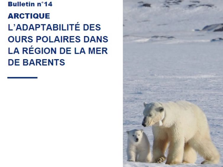 PolarWatch14