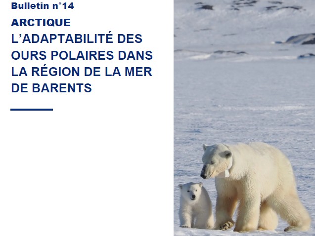 PolarWatch14